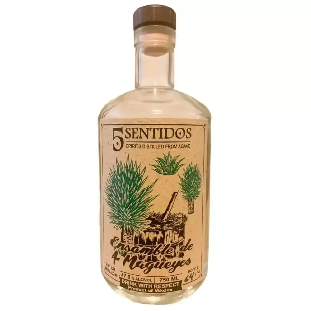5 Sentidos Ensamble de 4 Magueyes