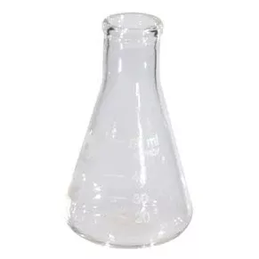 50 mL Erlenmeyer Flask