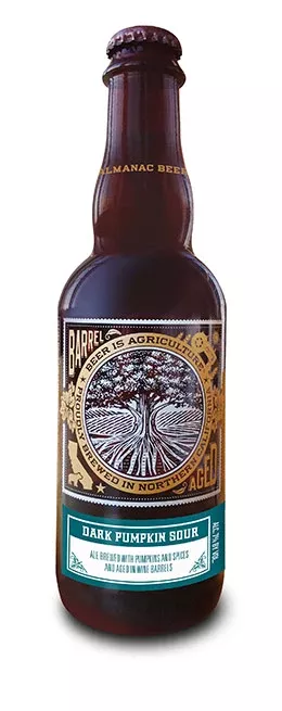 Almanac Dark Pumpkin Sour 375ml