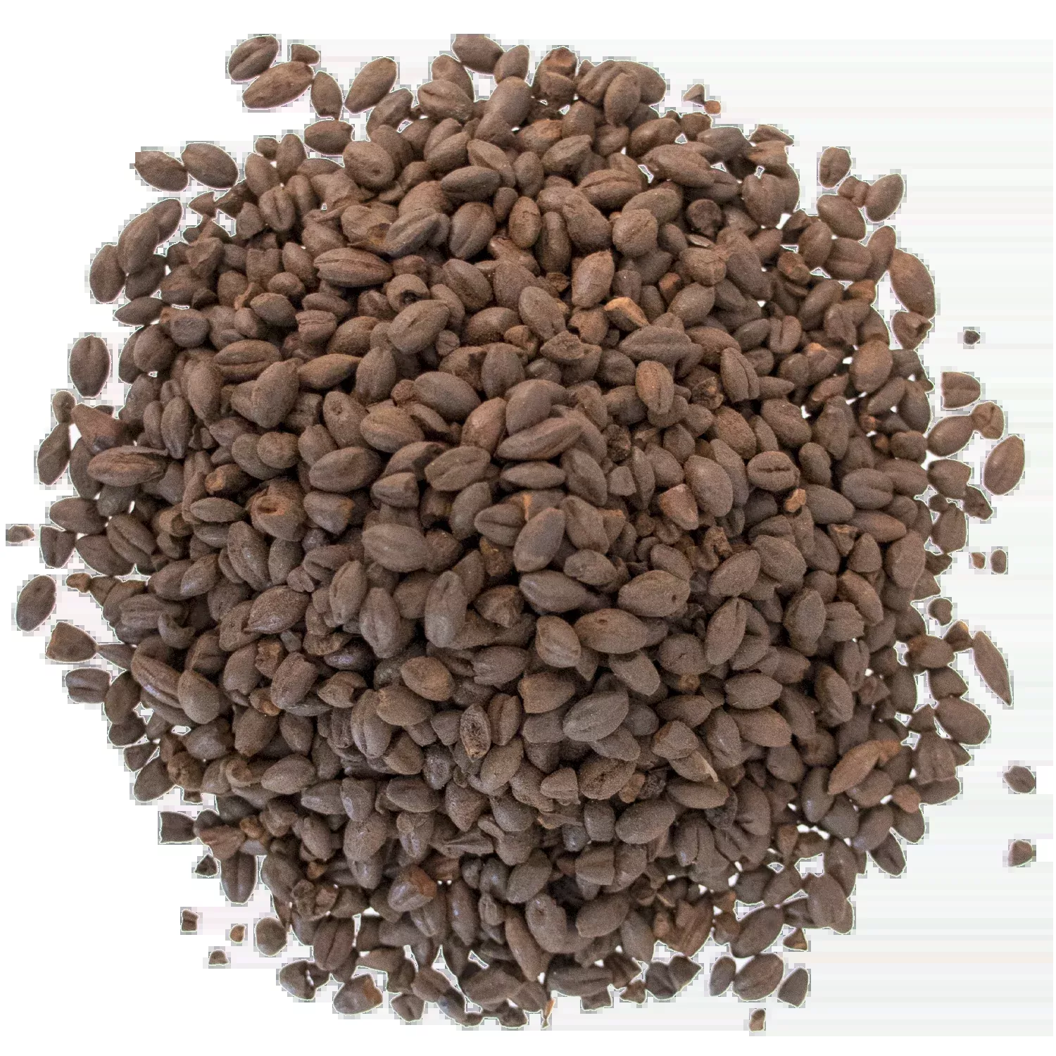 Blackprinz Malt - Briess Malting