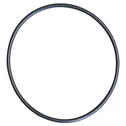 Body O-Ring for Euro 30 Pumps
