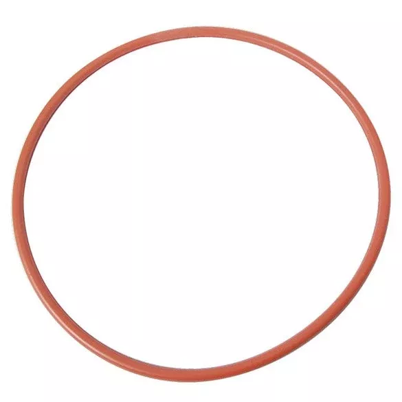 Braumeister Replacement Malt Pipe Gasket - 200 L