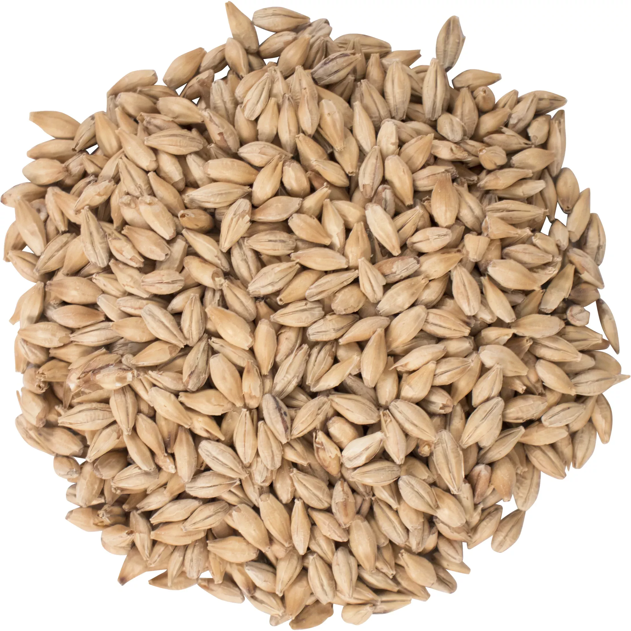CaraFoam Malt - Weyermann Specialty Malts