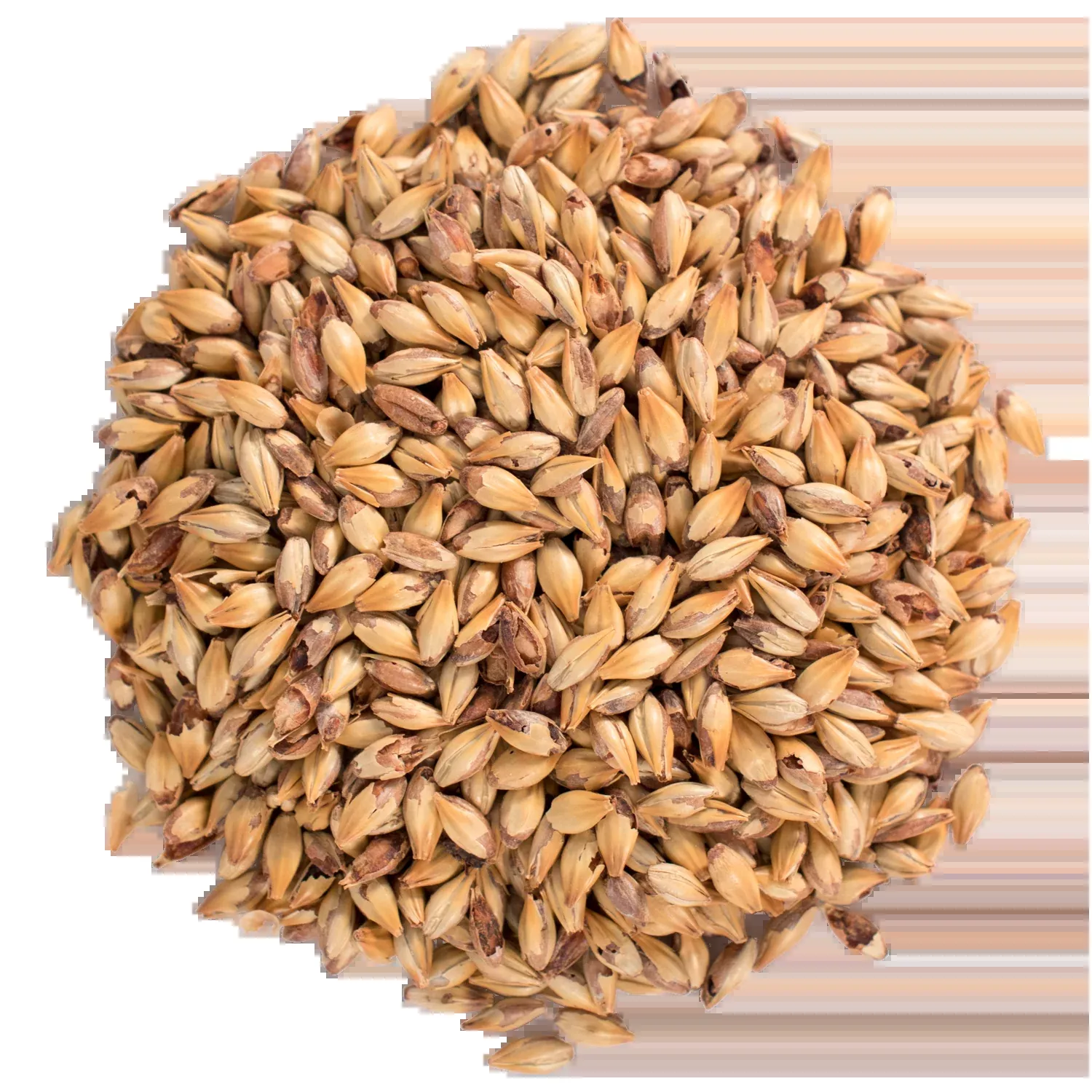 Caramel 60L Malt - Briess Malting