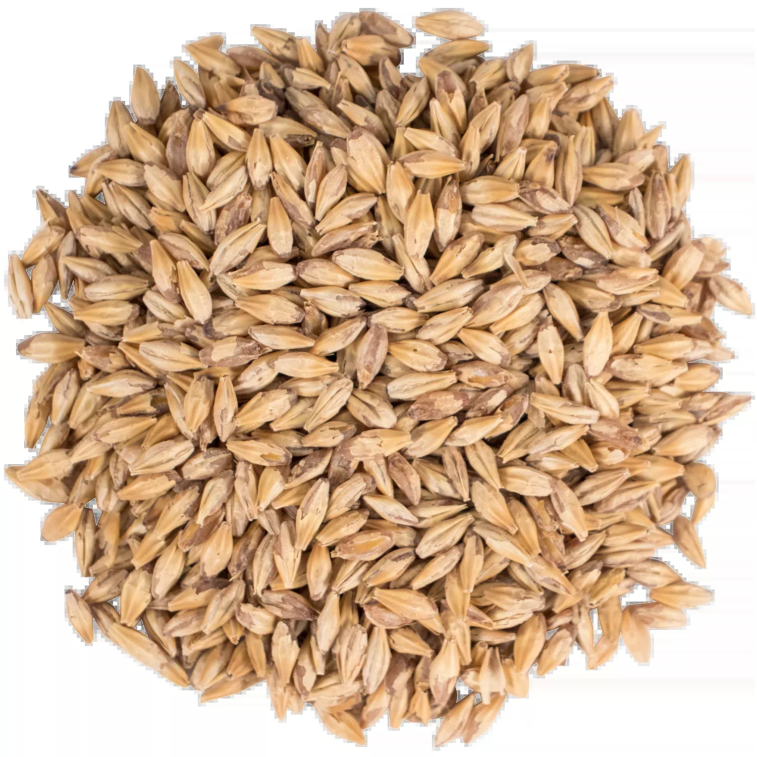 Carapils Malt - Briess Malting