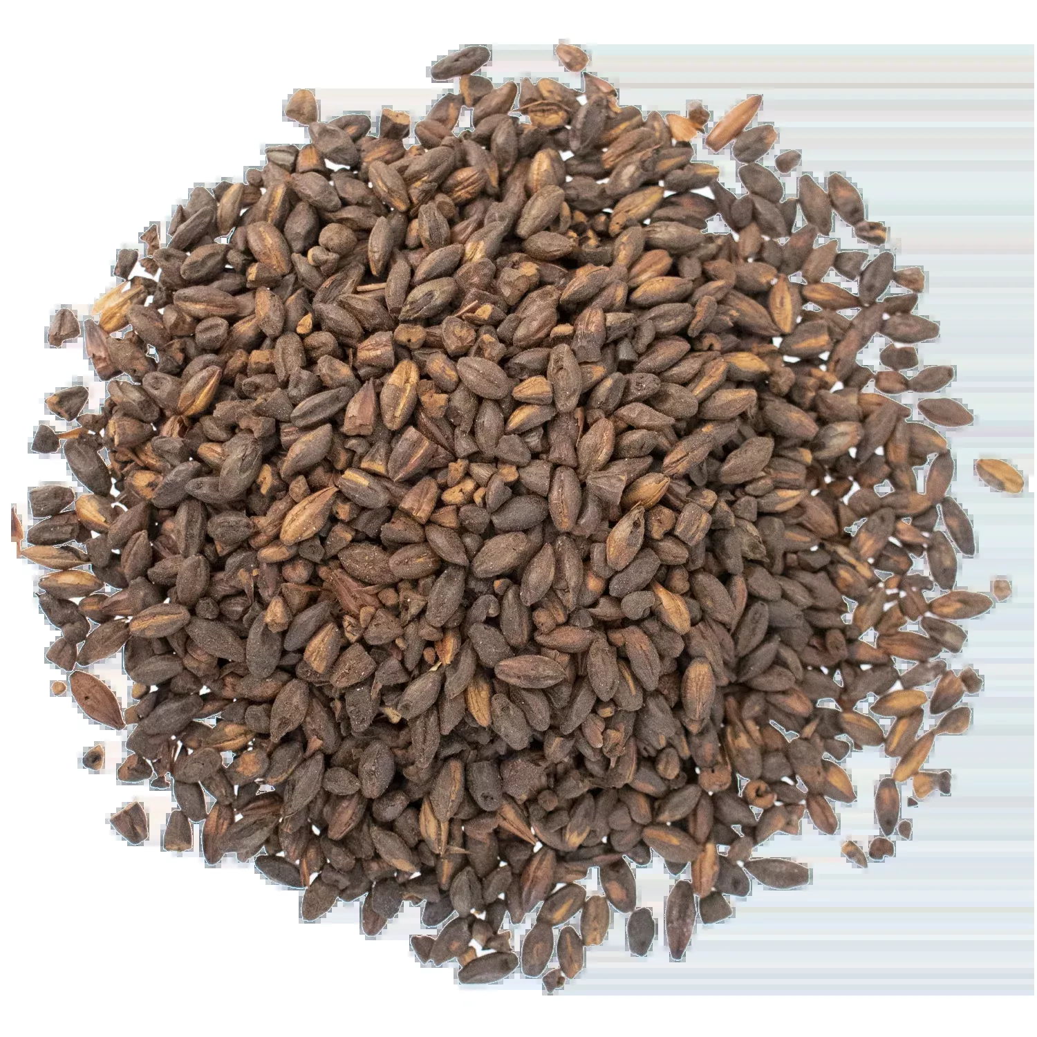 Chocolate Malt - Briess Malting