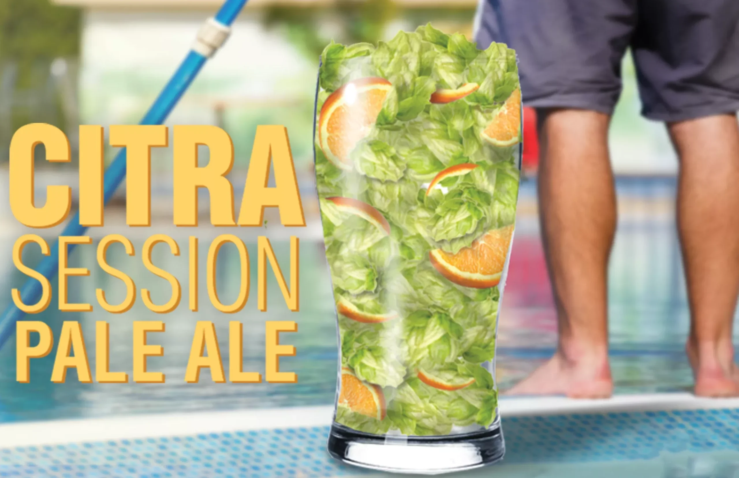 Citra Session Pale Ale | 5 Gallon Beer Recipe Kit | Extract