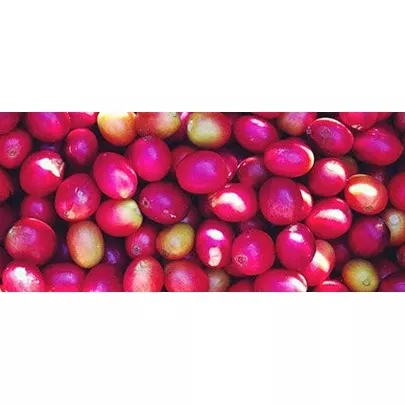 Colombia Huila Region | Green Coffee Beans