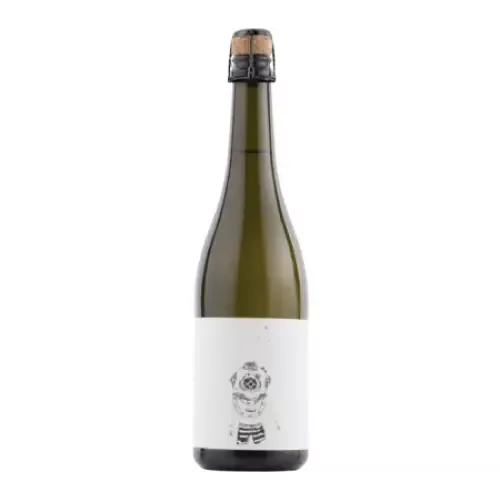 Days of Youth The Diver Brut