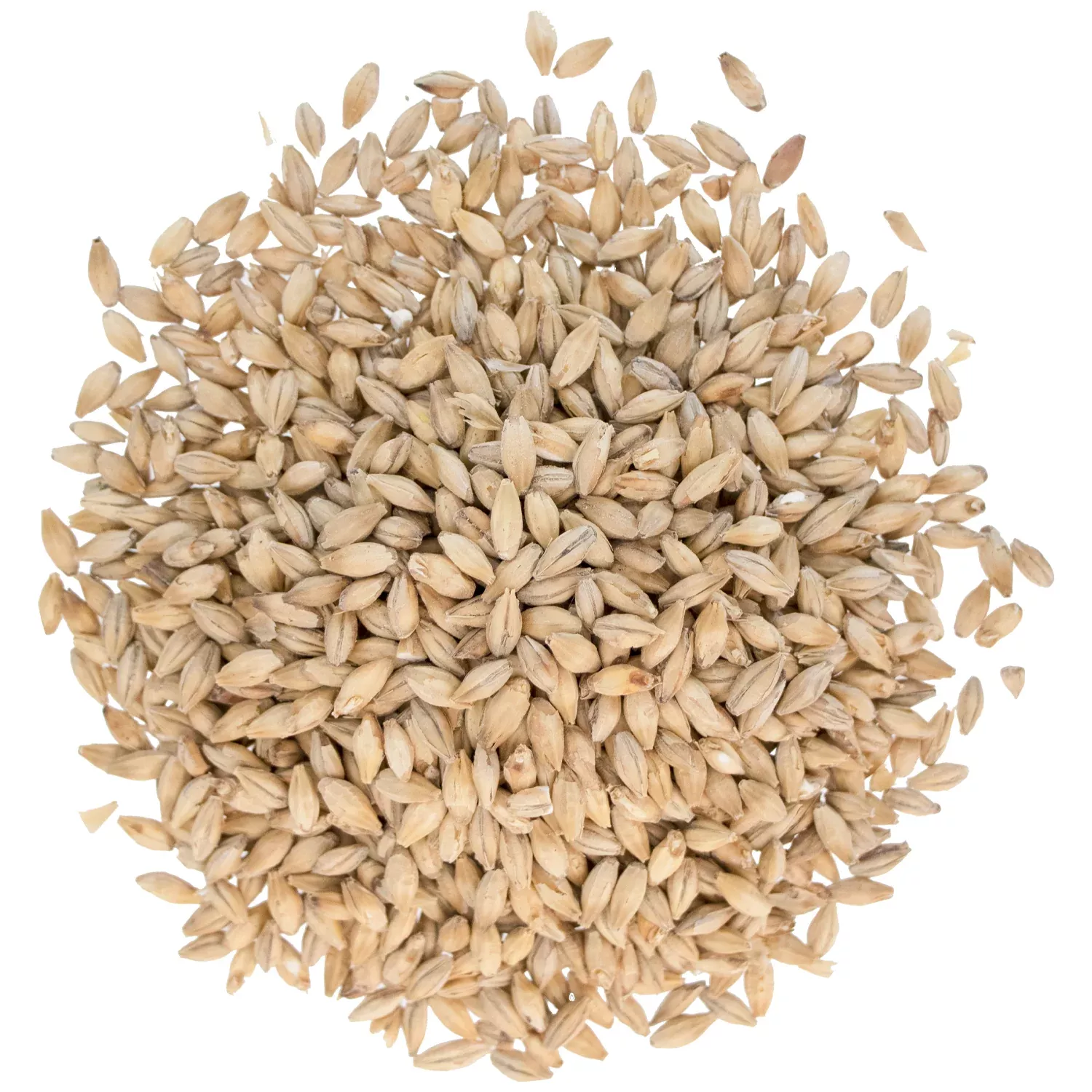 Floor Malted Bohemian Pilsner Malt - Weyermann Specialty Malts