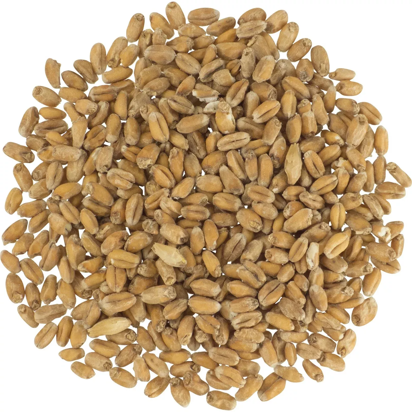 German Pale Wheat Malt - Weyermann Specialty Malts
