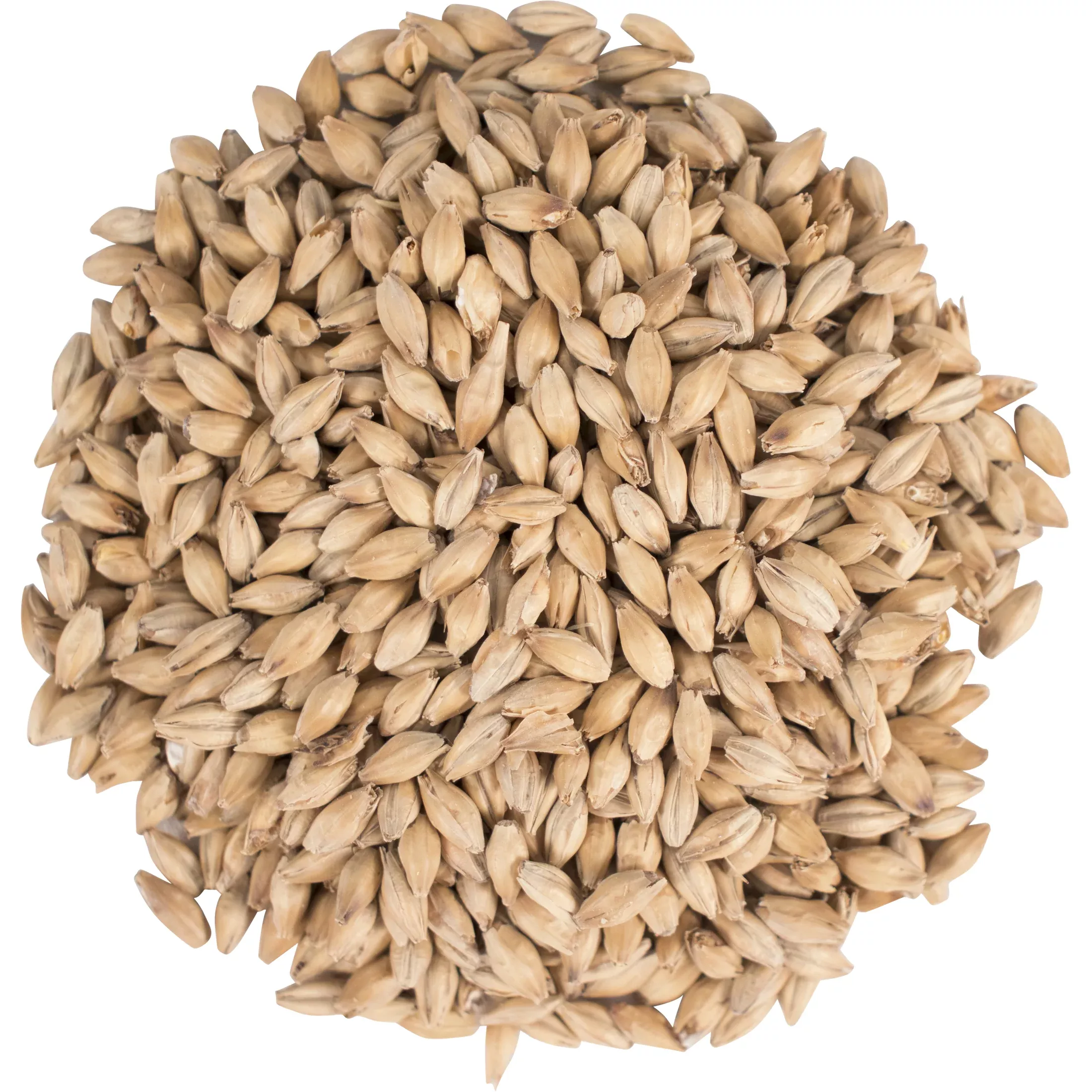 Golden Promise Malt - Simpsons Malt