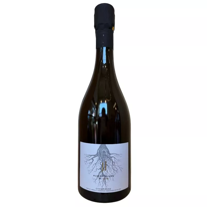 JEAN JOSSELIN AUX ORIGINES