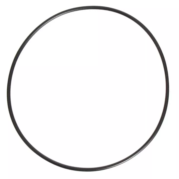March Nano Brewery Pump - Replacement Gasket