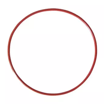 March Pump - Replacement Gasket