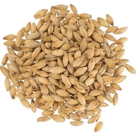 Maris Otter Pale Ale Malt - Bairds Malt