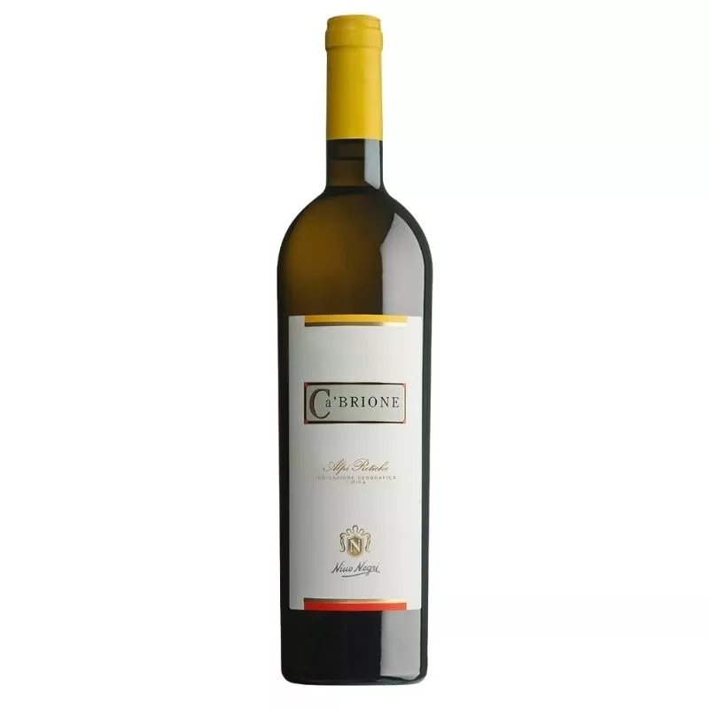 NINO NEGRI CA’BRIONE WHITE