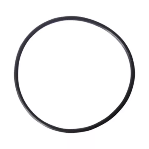 Replacement O-Ring for Super Transfer Pump Pre-Filter
