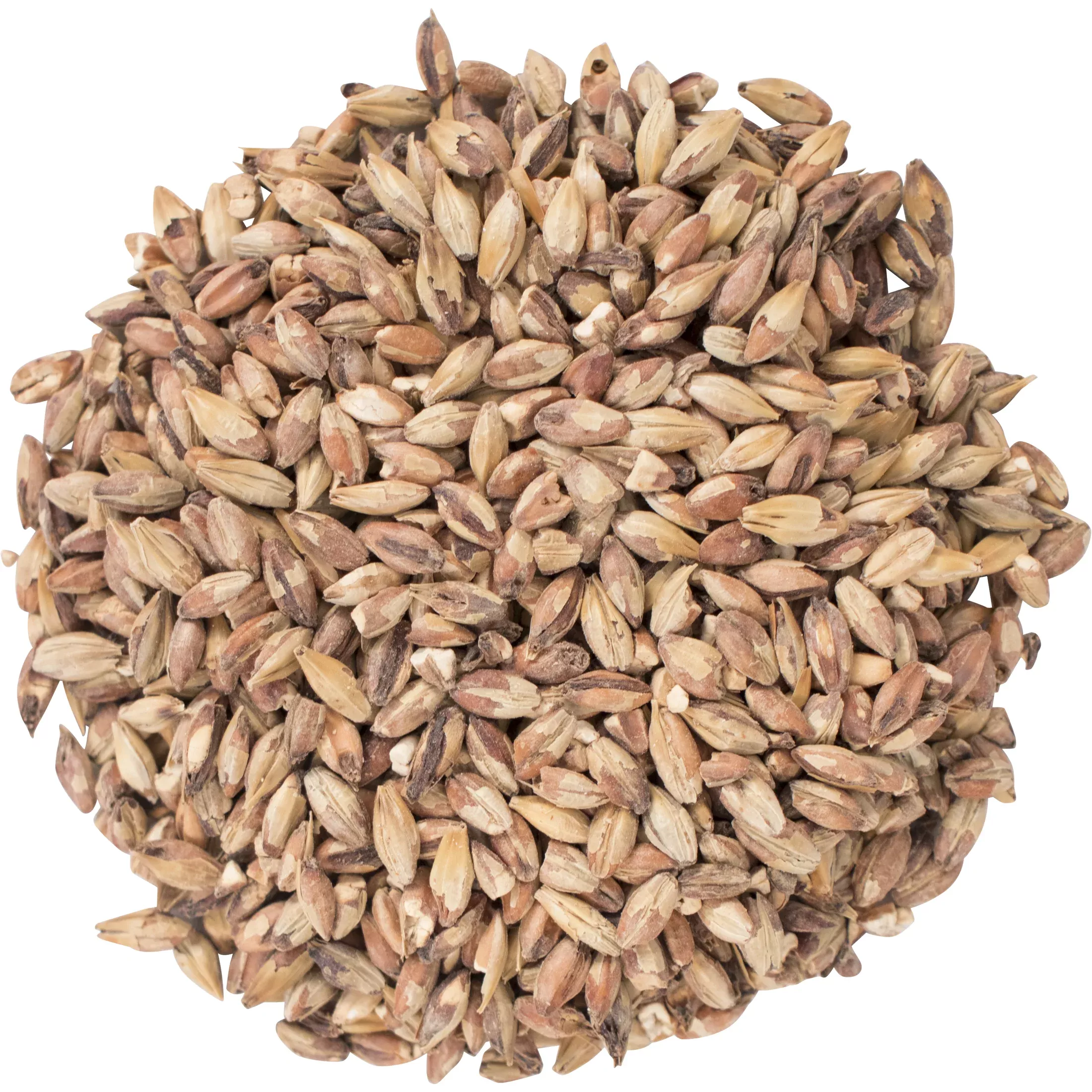 Special Roasted Malt - Briess Malting
