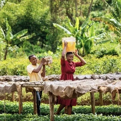 Tanzania Peaberry | Green Coffee Beans