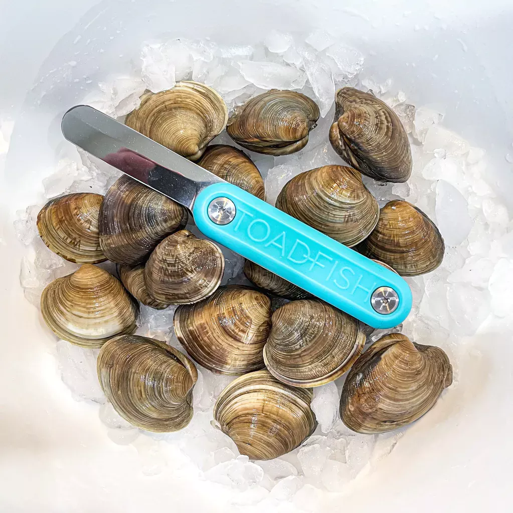 Toadfish Clam Knife