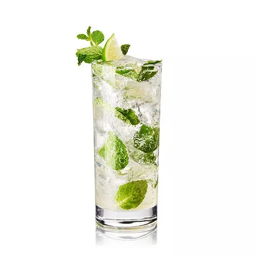 True Set of 4 Highball Glasses